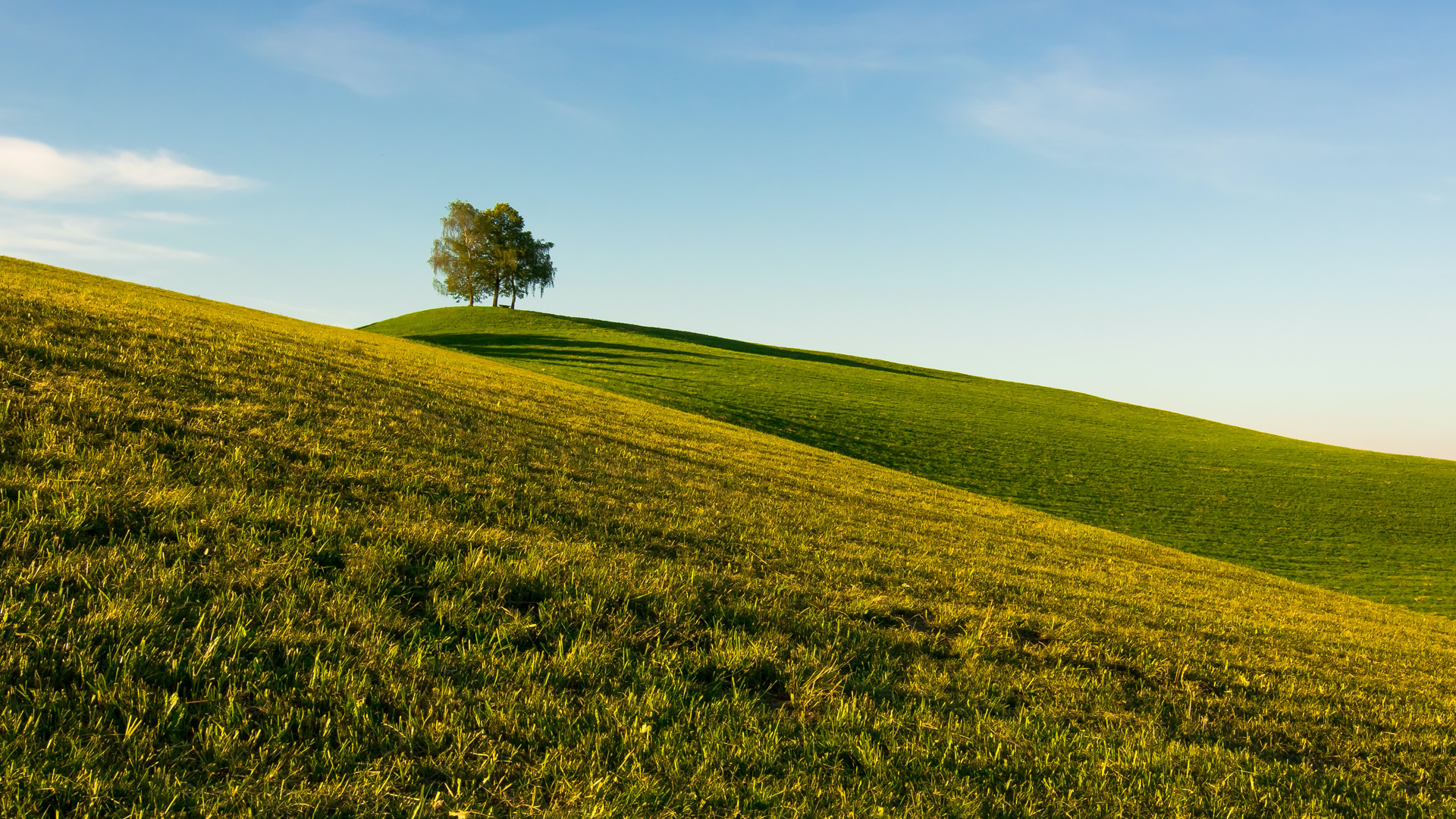 What These 7 Funeral Words and Phrases Mean