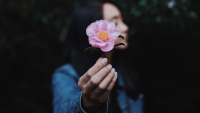 https://www.solacecares.com/wp-content/uploads/UNDERSTANDING-DIRECT-CREMATION-200x113.png